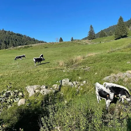 Chalet Le Coin De Paradis Nathalie Mn La Rouge