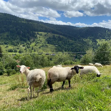 Le Coin De Paradis Nathalie Mn La Rouge Chalet *