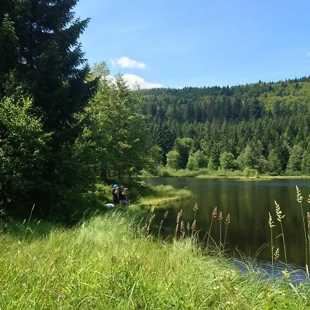 Le Coin De Paradis Nathalie Mn La Rouge Alpehytte La Bresse